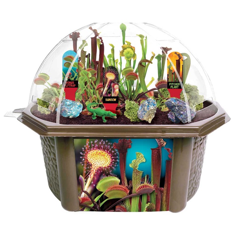 Carnivorous Creatures Biosphere Terrarium – Science Kits for Kids