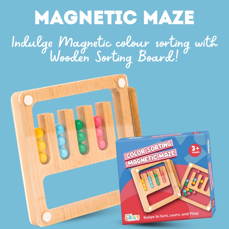 Wooden Color Sorting and Magnetic Maze Toy with 15 Pattern Cards for Kids