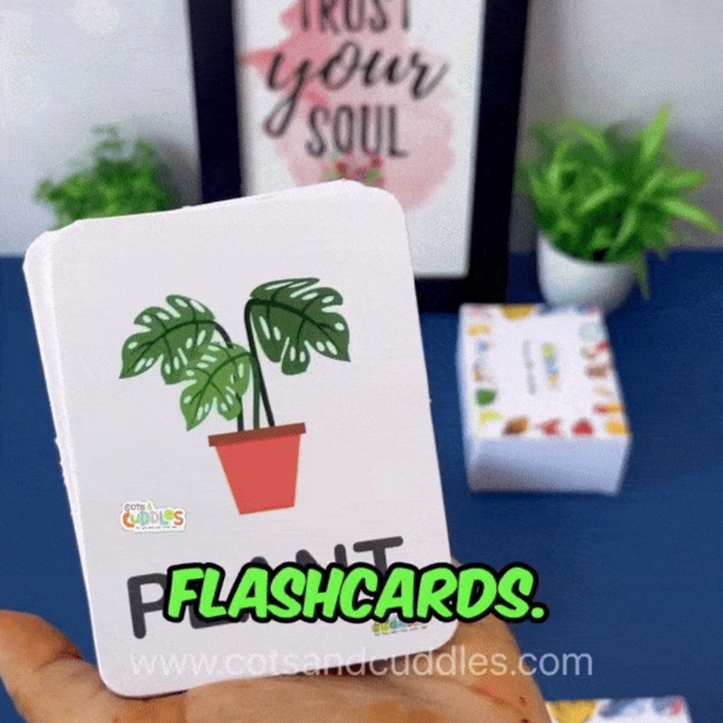 First 100 Words – 100+ Flashcards