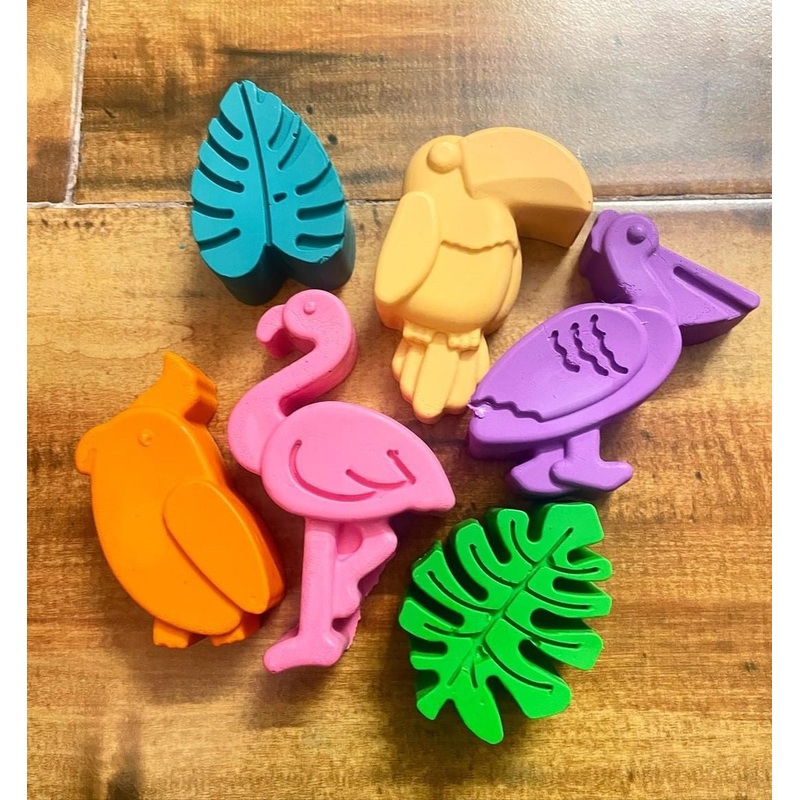 Birds Design Crayons Set of 6