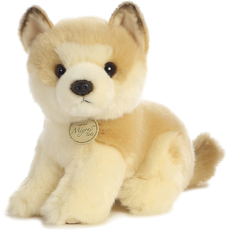 Akita Puppy