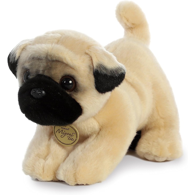 Pug Pup