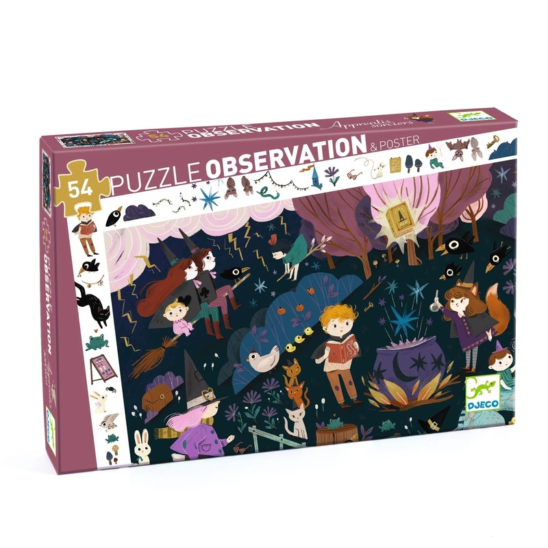 Observation Puzzle 54pcs Sorcerers’ Apprent