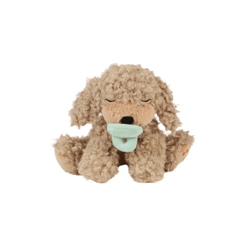 Binky Puppy – Benny