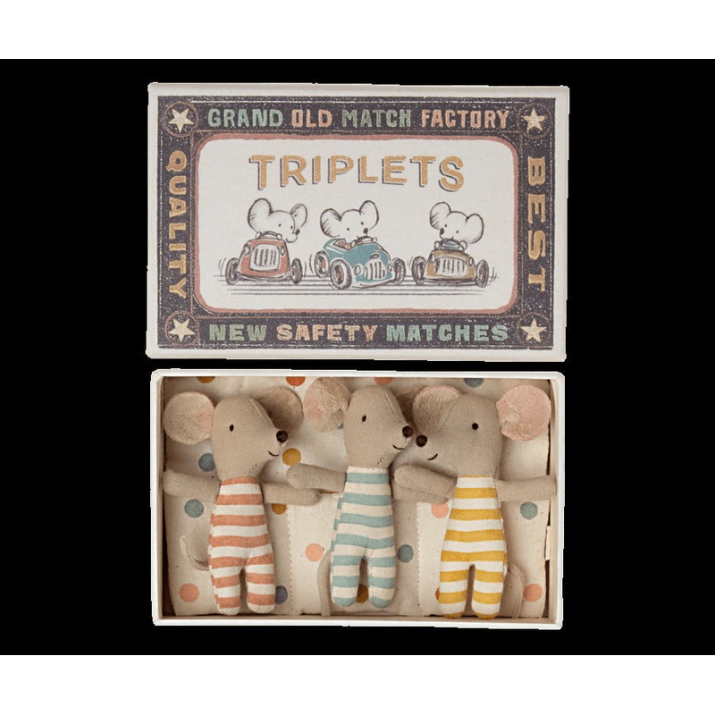 Baby Triplets in Box