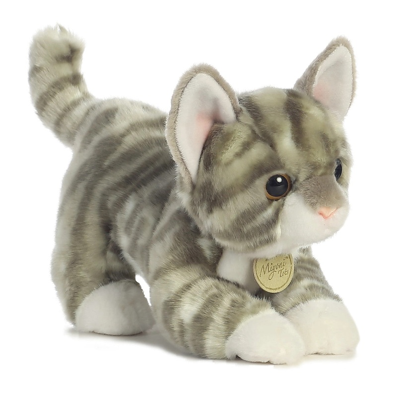 Grey Tabby Kitten