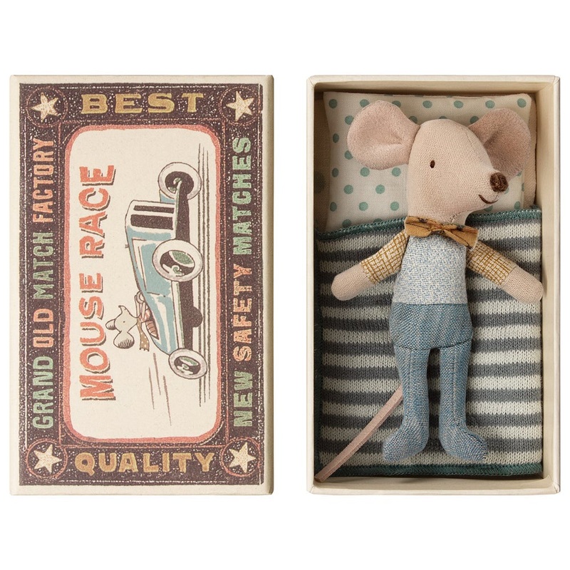 Little Brother Mouse in Box