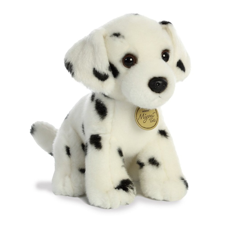 Dalmatian Pup