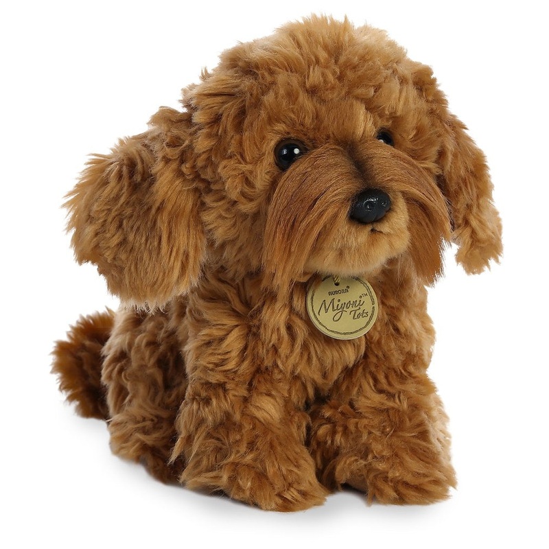 Labradoodle
