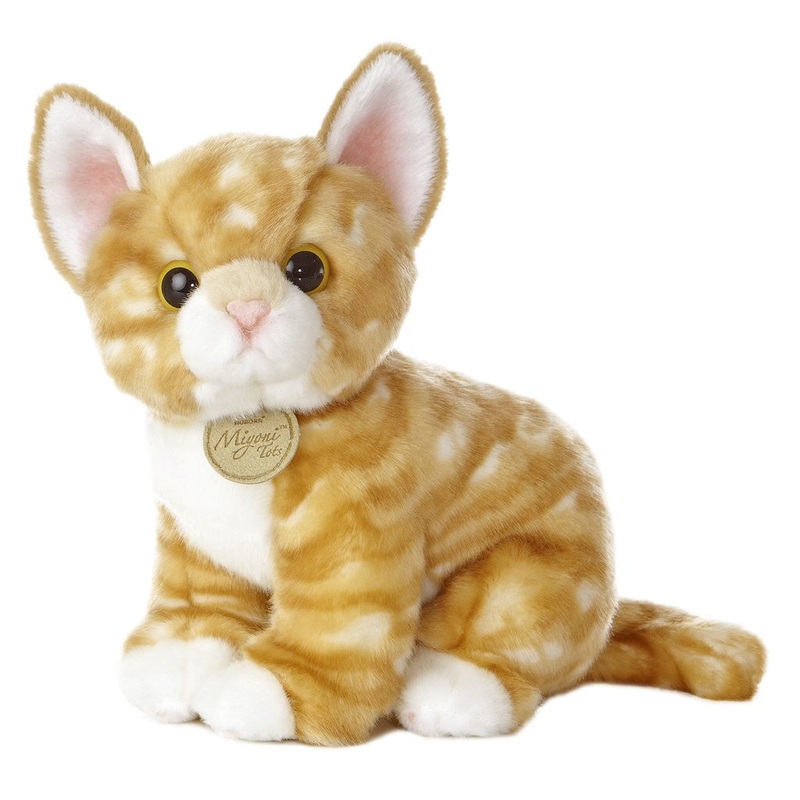 Orange Tabby Kitten