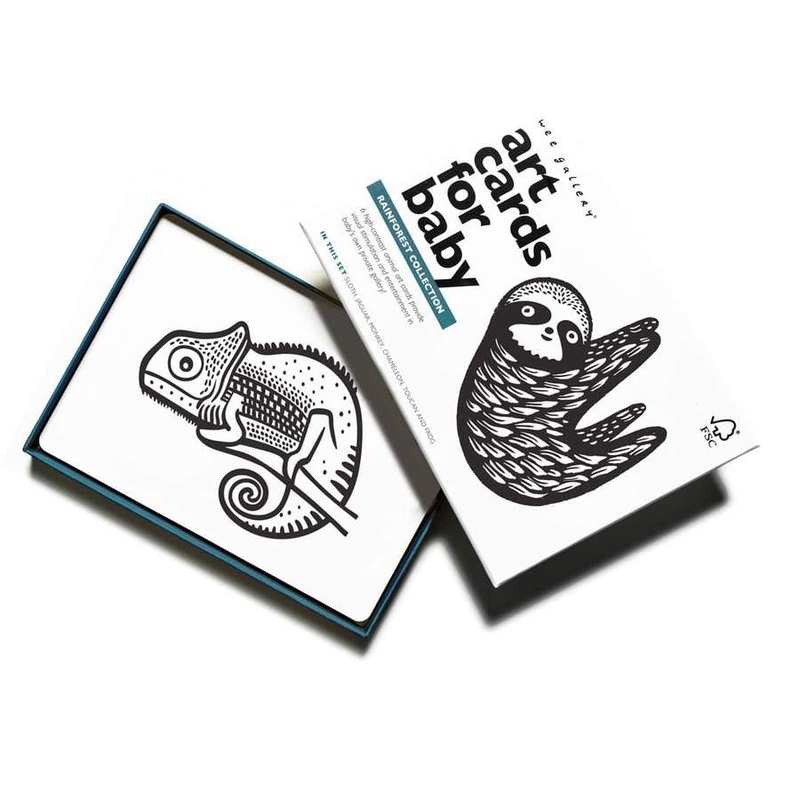 Art Cards for Babies Rainforest