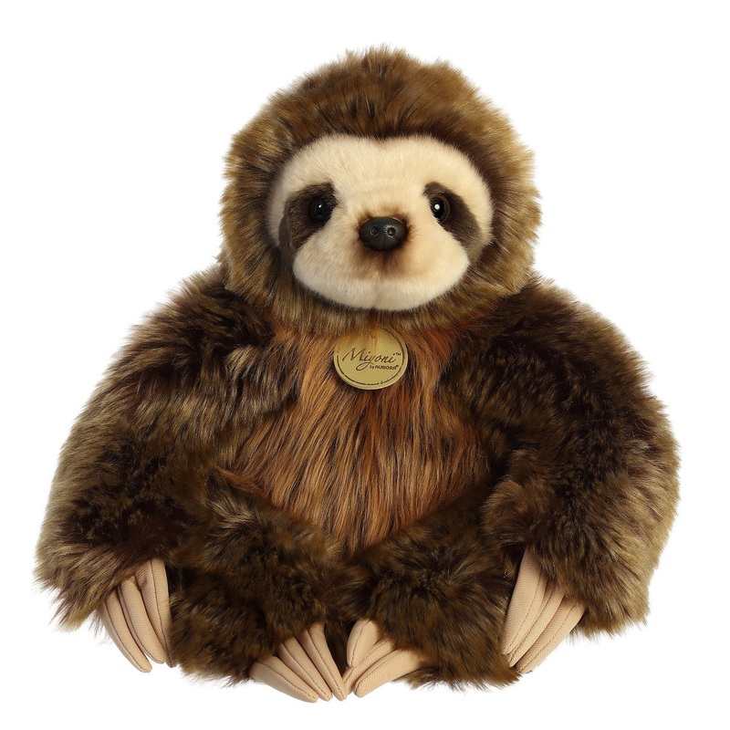 Three Toed Sloth