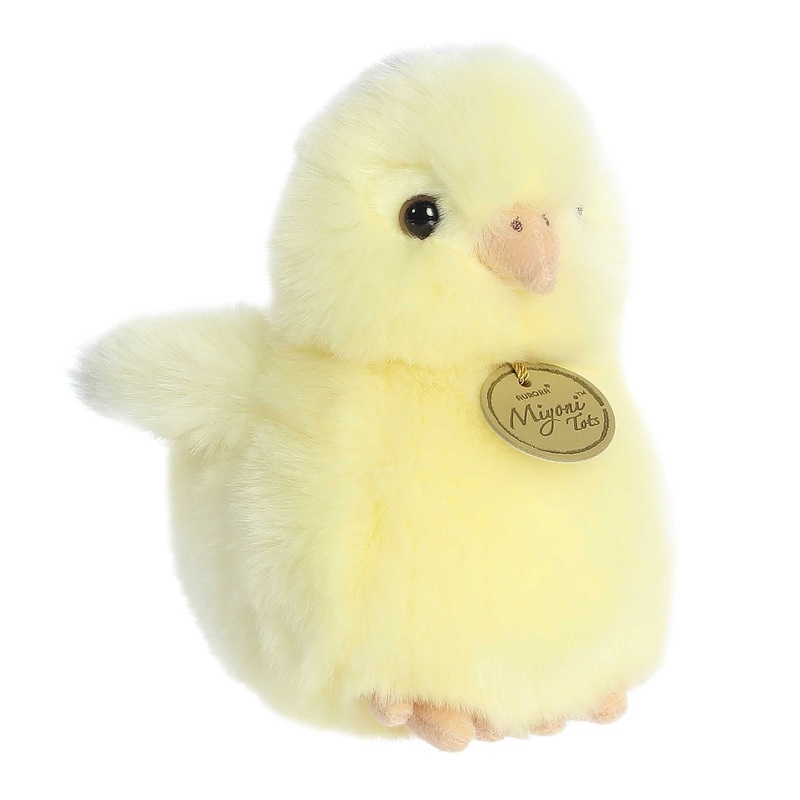 Ameraucana Chick