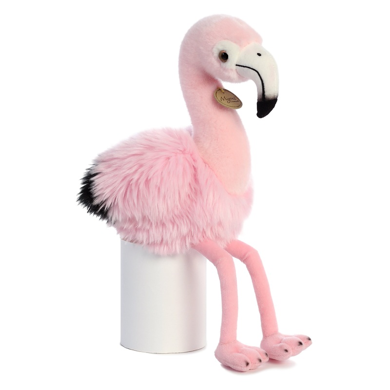 Andean Flamingo
