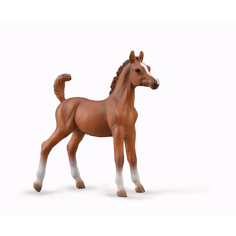 Arabian Foal – Chestnut