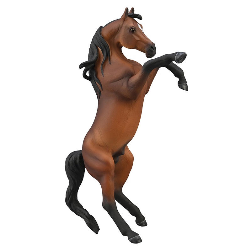 Arabian Stallion Rearing – Bay