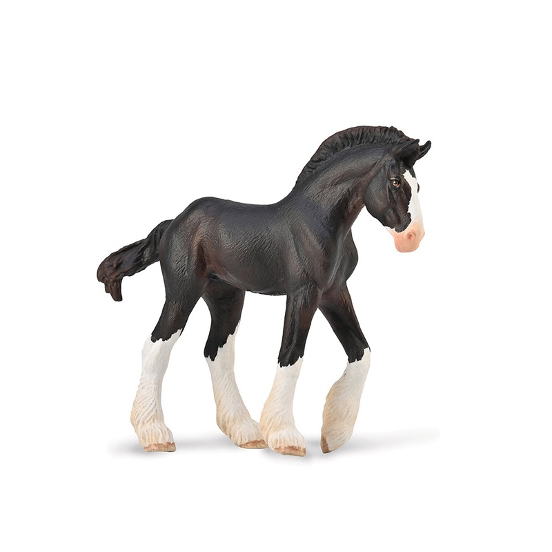 Clydesdale Foal – Black