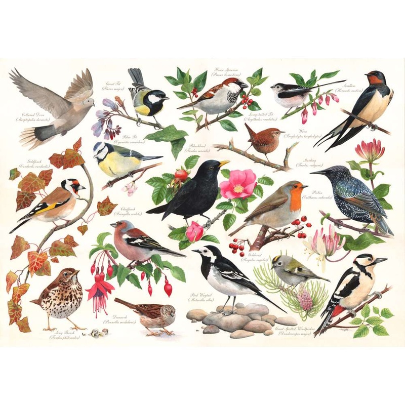Birds In My Garden – 1000 Piece Jigsaw Puzzle