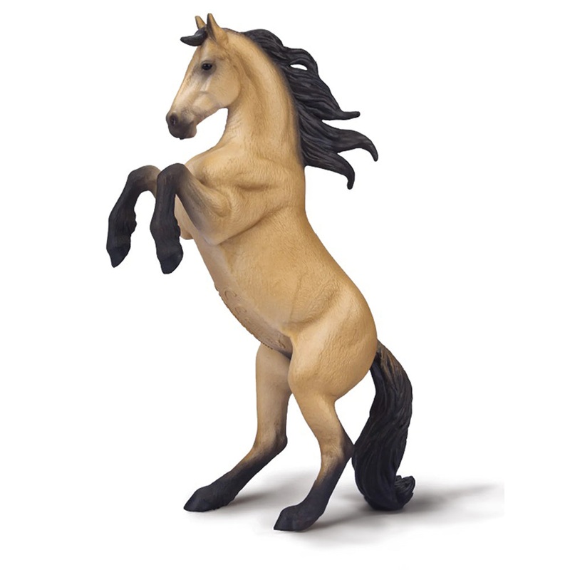 Warlander Mare Rearing – Buckskin