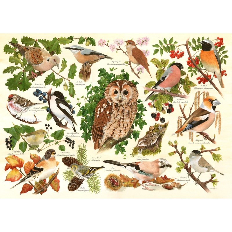 Woodland Birds – BIG 500 Piece Jigsaw Puzzle