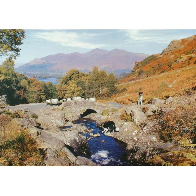 Thirsty Work – 1000 Piece Jigsaw Puzzle