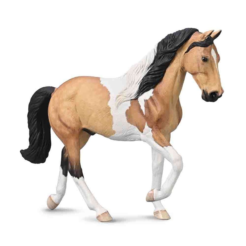 Tennessee Walking Horse Stallion –  Buckskin Tobiano