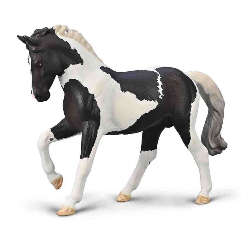 Warmblood Stallion – Black Tobiano
