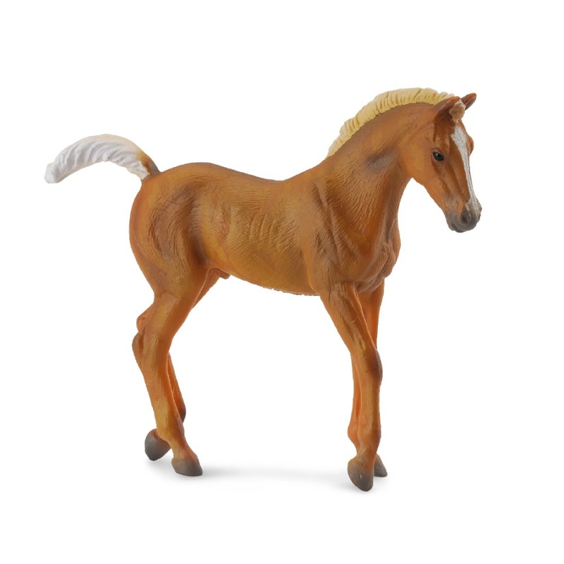 Tennessee Walking Horse Foal Chestnut