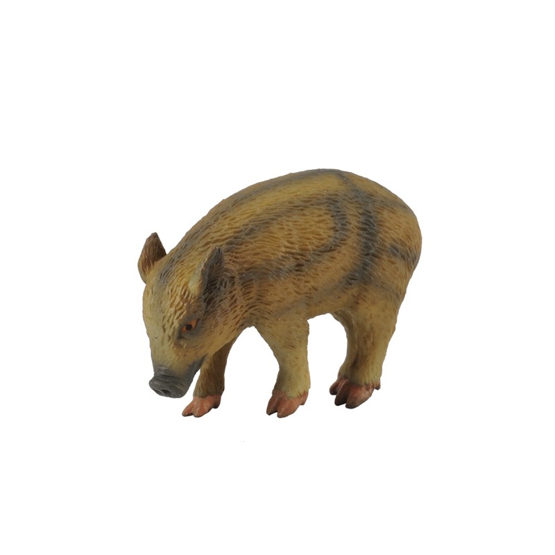 Wild Piglet Eating