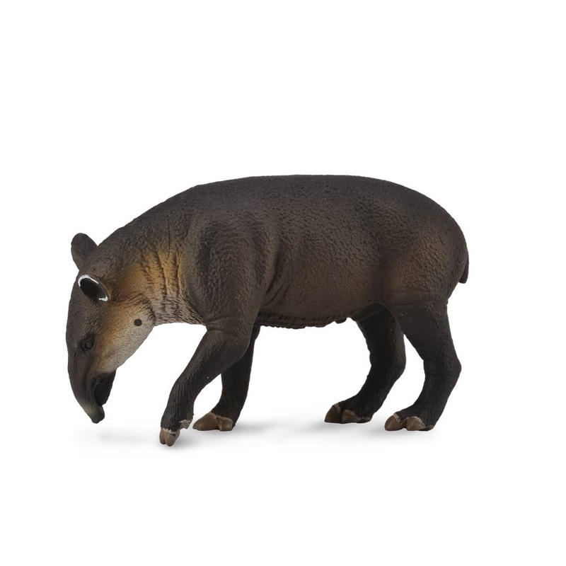 Baird’S Tapir