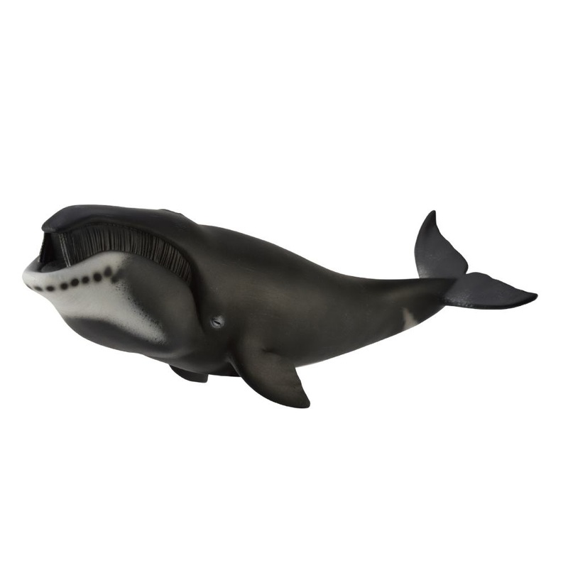 Bowhead Whale