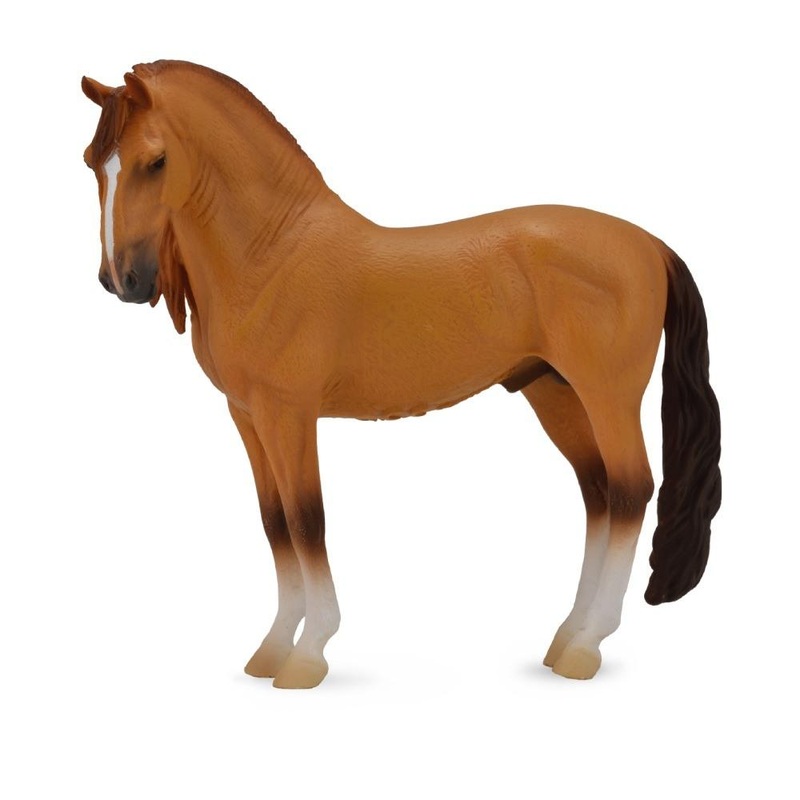 Campolina Stallion Red Dun