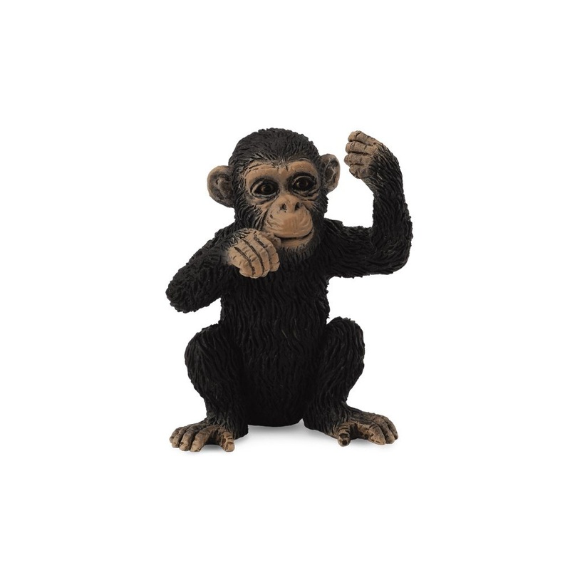 Chimpanzee Cub Thinking
