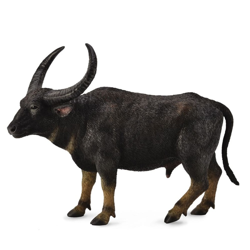 Wild Water Buffalo