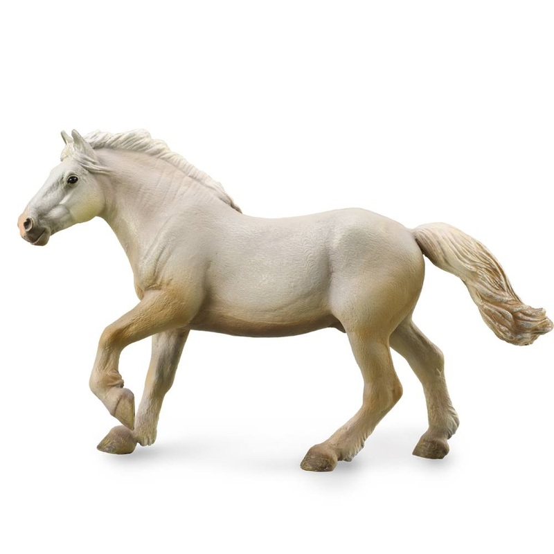 American Cream Draft Stallion – Cream