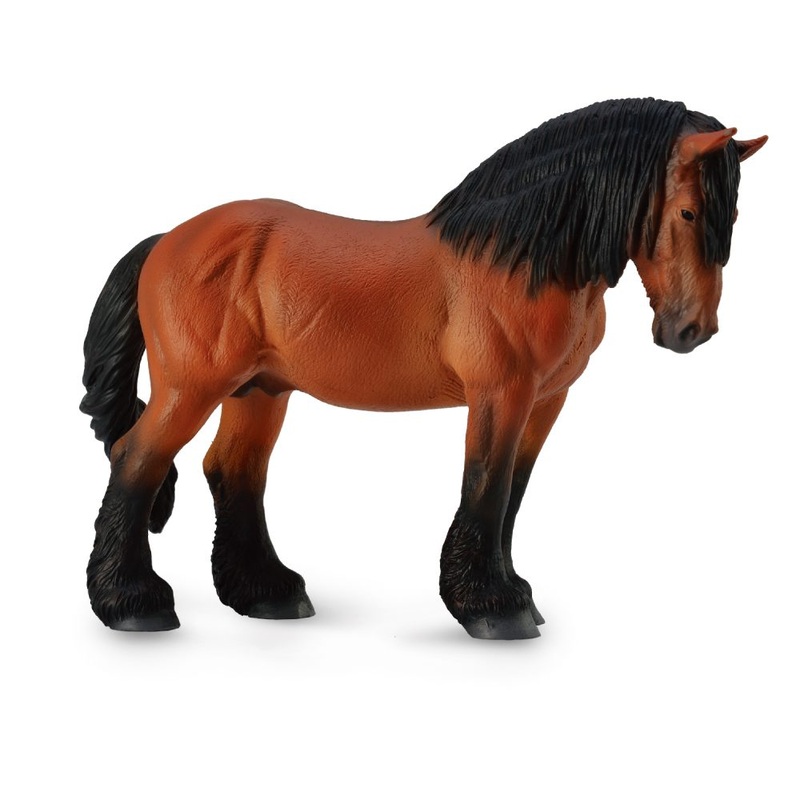 Ardennes Stallion Bay