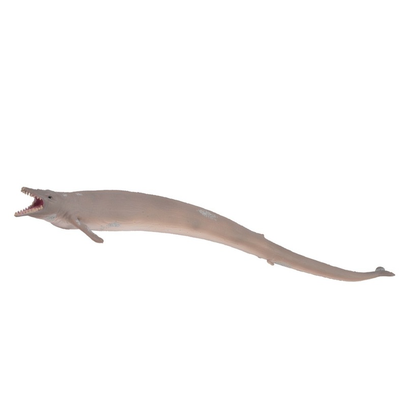 Basilosaurus
