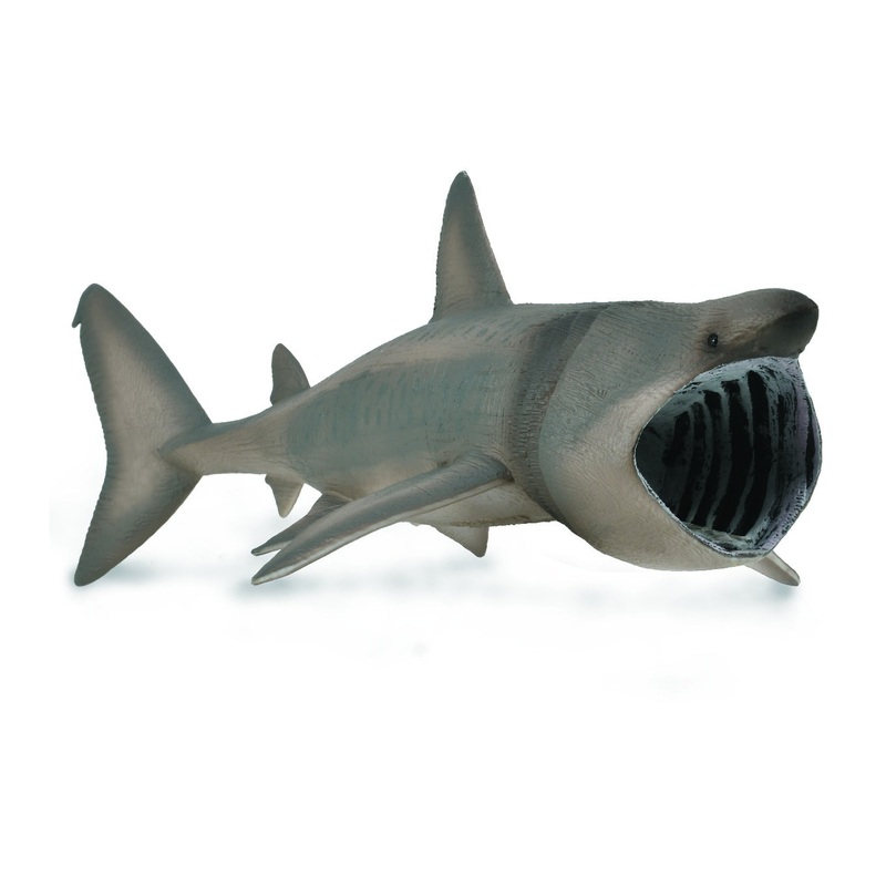 Basking Shark