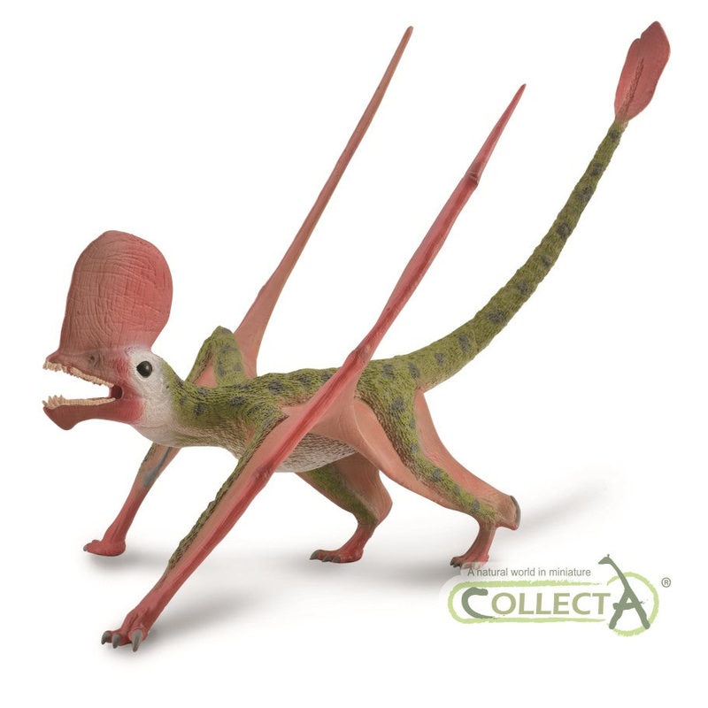 Caviramus with Movable Jaw – 1: 2 Scale