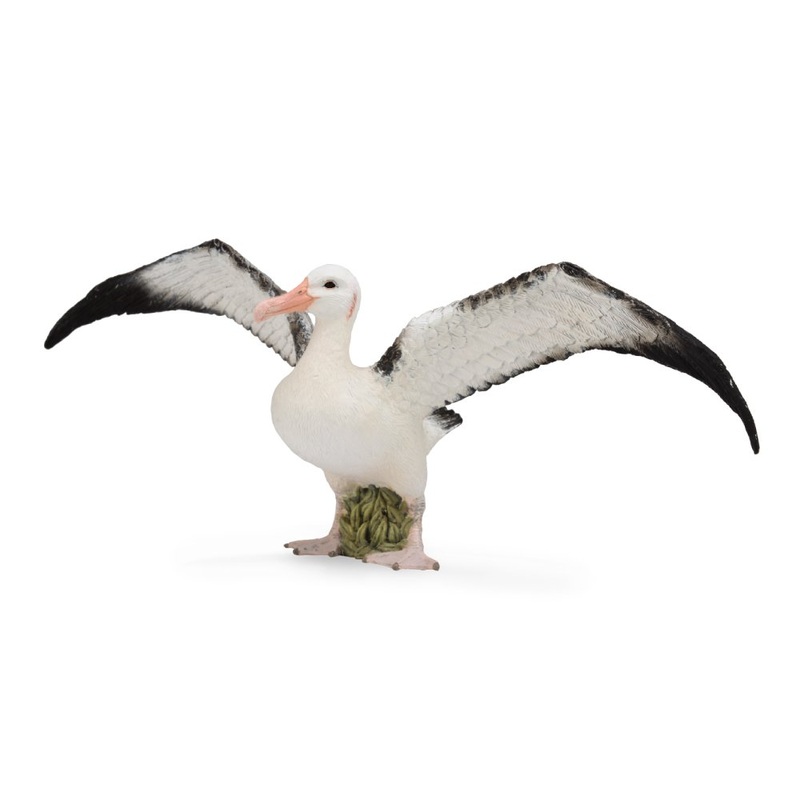 Wandering Albatross