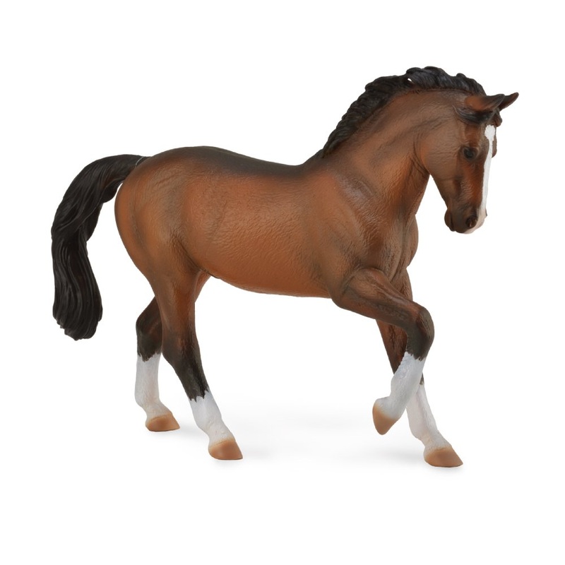 Warmblood Stallion – Bay