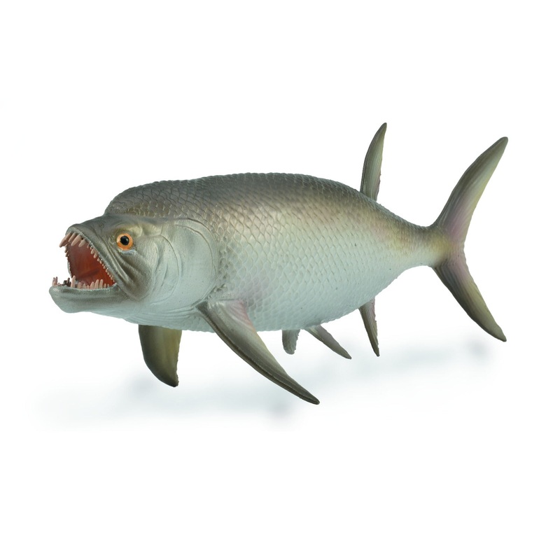 Xiphactinus – 1:40 Scale