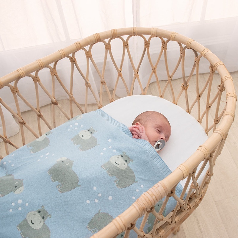 Whimsical Baby Blanket Hippo