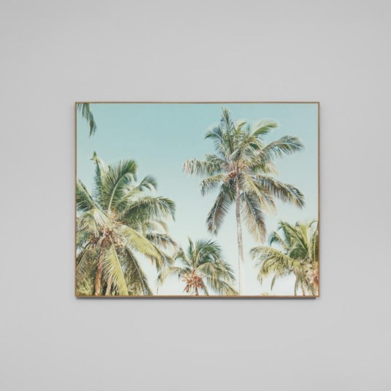 Summer Palms Canvas Print
