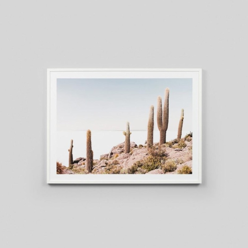 Cactus View Framed Print