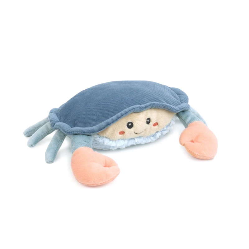 Shy Blue Crab