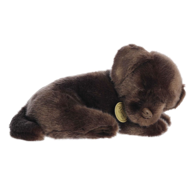 Sleepy Chocolate Lab Pup