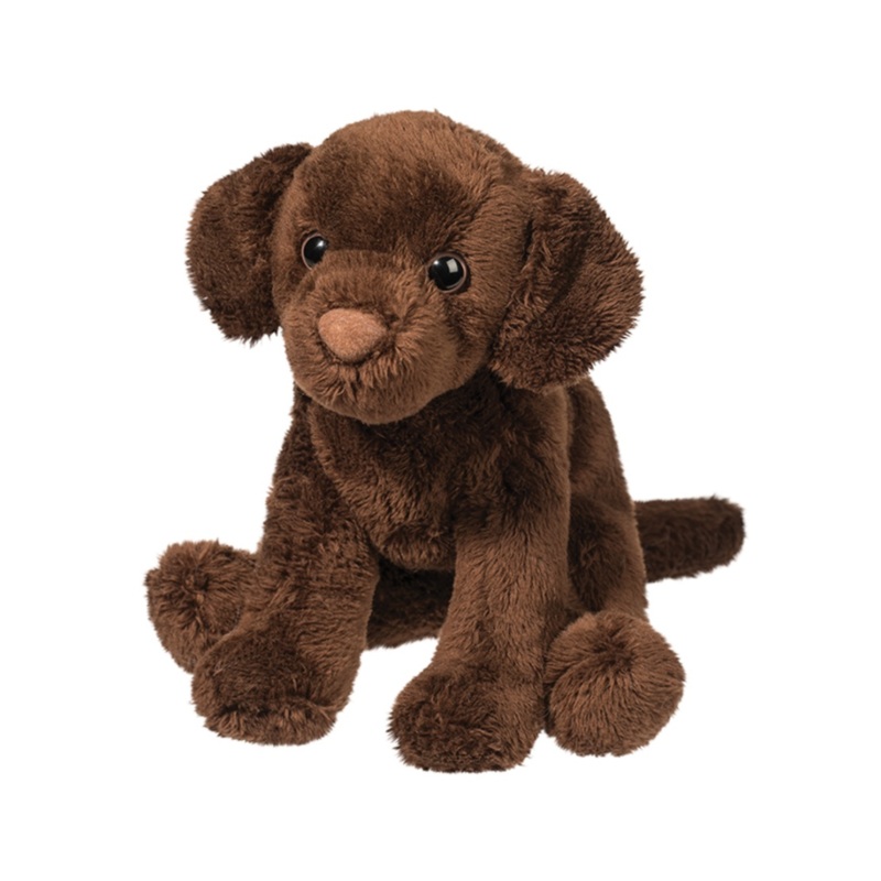 Finn the Chocolate Lab