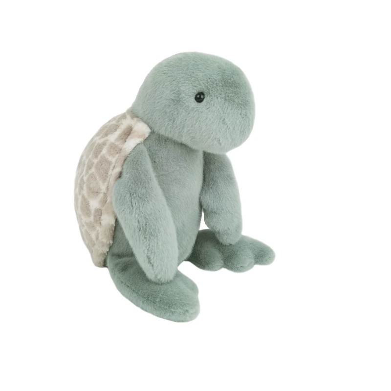 Taylor Turtle